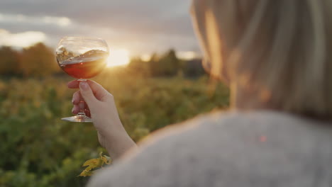 a woman holds a glass of red wine in the rays of the setting sun. stands near the vineyard. rear view