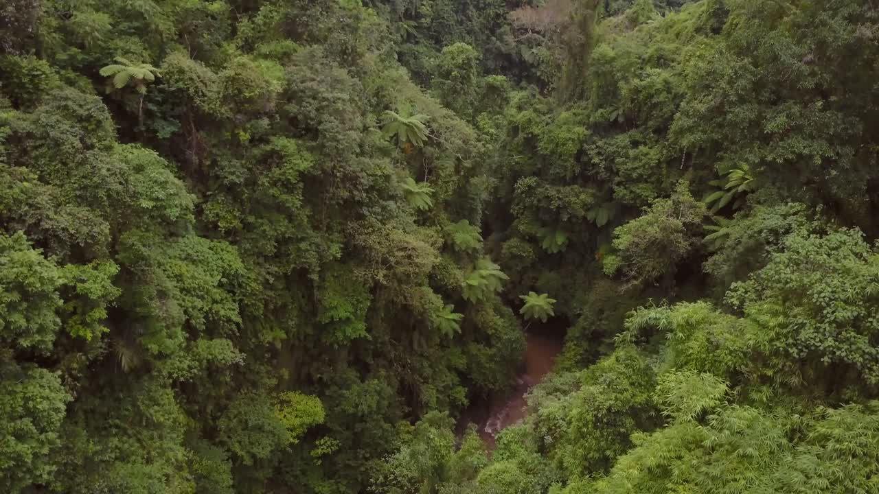 Nungnung waterfall in the middle of Bali, Indonesia