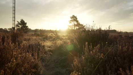 el amanecer sobre un páramo