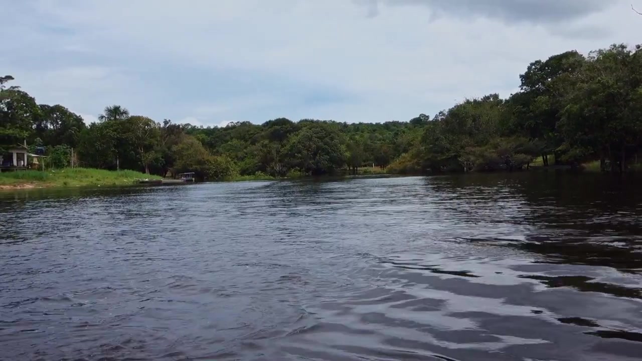 Area forestale allagata vicino al fiume Juma a Manaus, Amazonas, Brasile. Stagione delle piogge della foresta pluviale amazzonica.