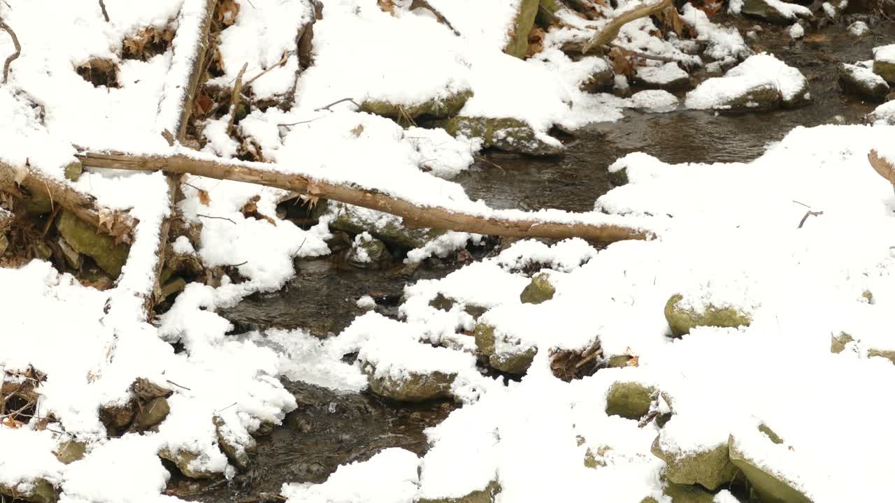 un pequeño arroyo rocoso que fluye cubierto de una fina capa de nieve blanca y hielo después de la primera nevada del invierno a lo largo de la escarpa de niagara, ontario, canadá