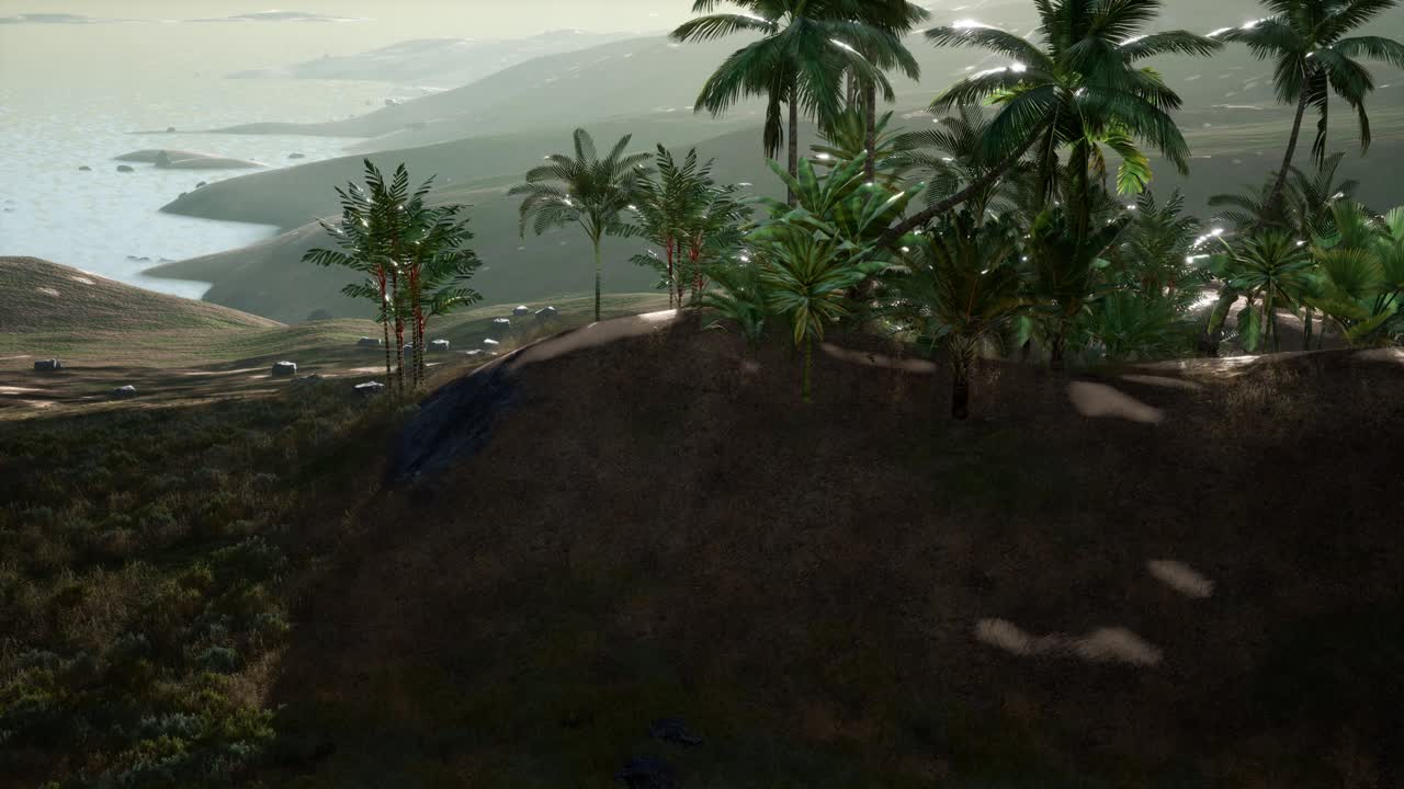 vista aérea de palmeras en dunas de arena cerca del mar