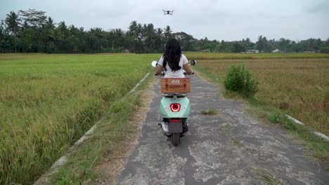 Back view of woman without helmet driving motorbike on rural road between rice fields with drone flying overhead, Indonesia. Fpv