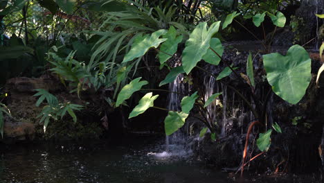 Ein-Kleiner-Künstlicher-Indoor-Wasserfall,-Bei-Dem-Das-Wasser-über-Die-Felsen-Und-Durch-Die-Vielen-Tropischen-Pflanzen-Fällt