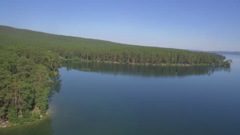 serene lakeside forest scenery