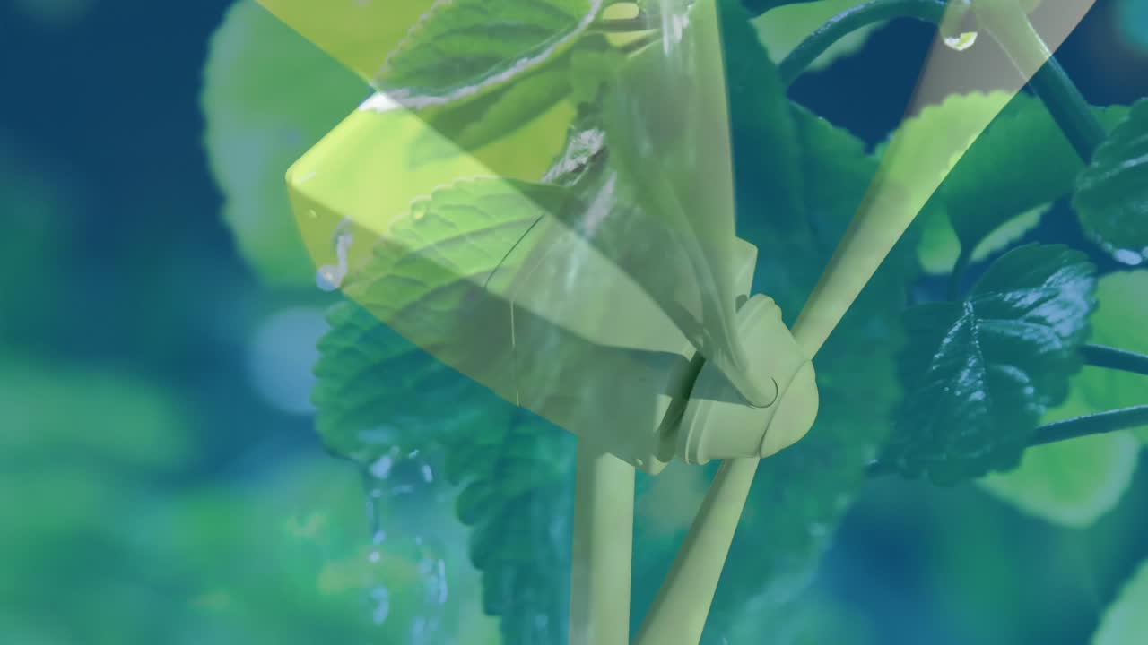 medio ambiente y bienestar