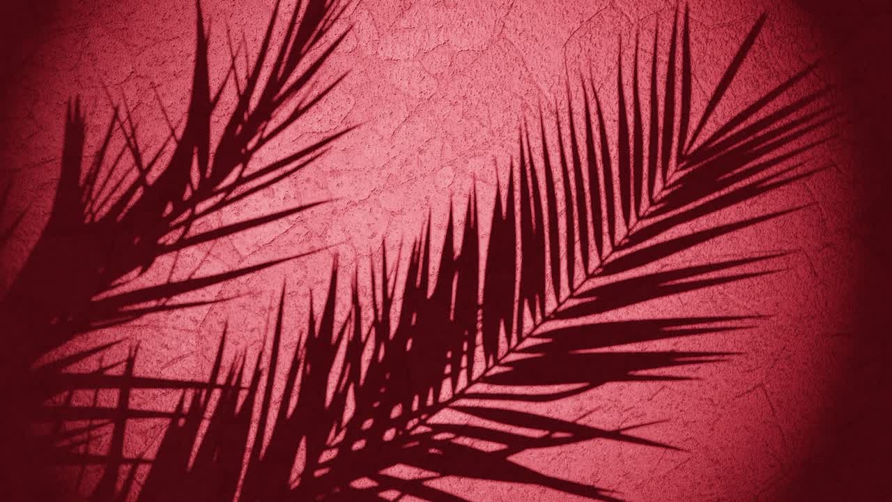 sombra de la planta sobre la pared moviéndose de la brisa de verano, secuencia de bucle animación de renderización 3d fondo rojo