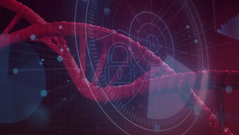 round scanner and security padlock and shield icon against spinning dna structure