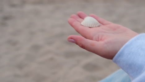 Person-Findet-Muschel-Am-Schönen-Sandstrand.