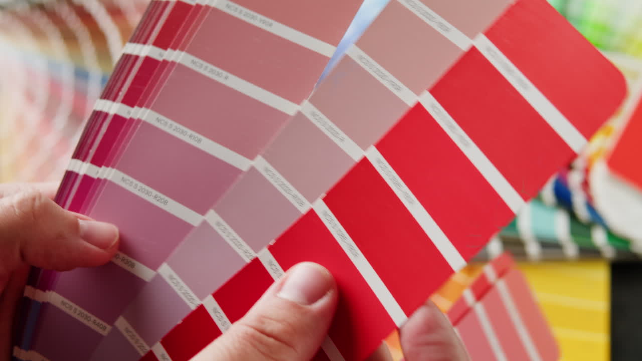 persona que sostiene muestras de color