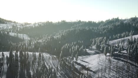 Berglandschaft-An-Einem-Sonnigen-Wintertag