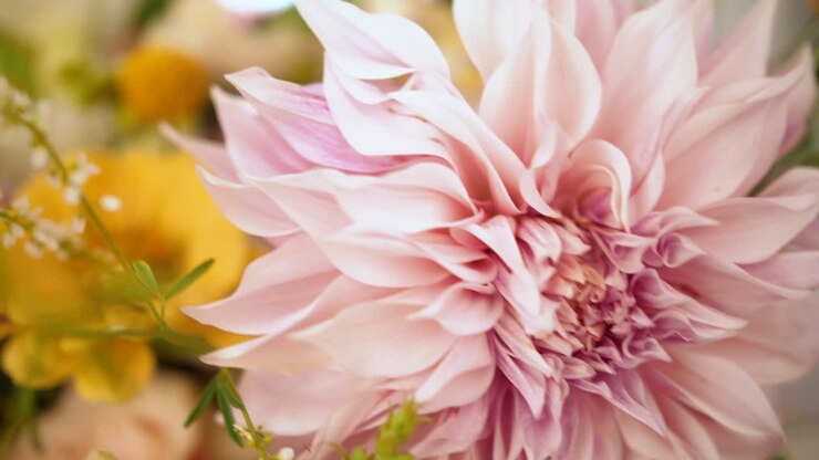 Bouquet di fiori colorati