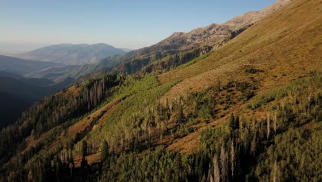 aerial rotating footage of uinta forest near nepo loop during sunrise