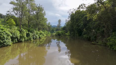 calm river surrounded by dense green foliage