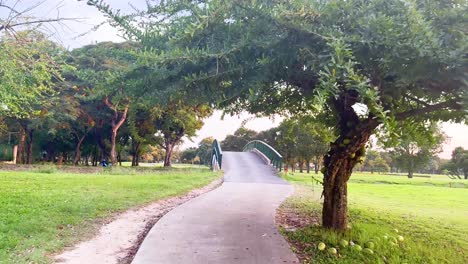 peaceful park path with lush greenery