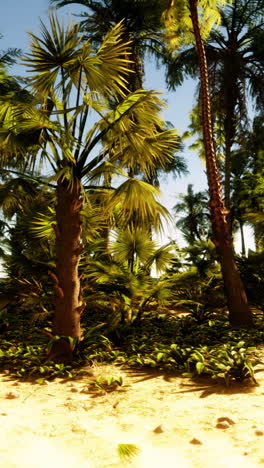 tropical beach with palm trees