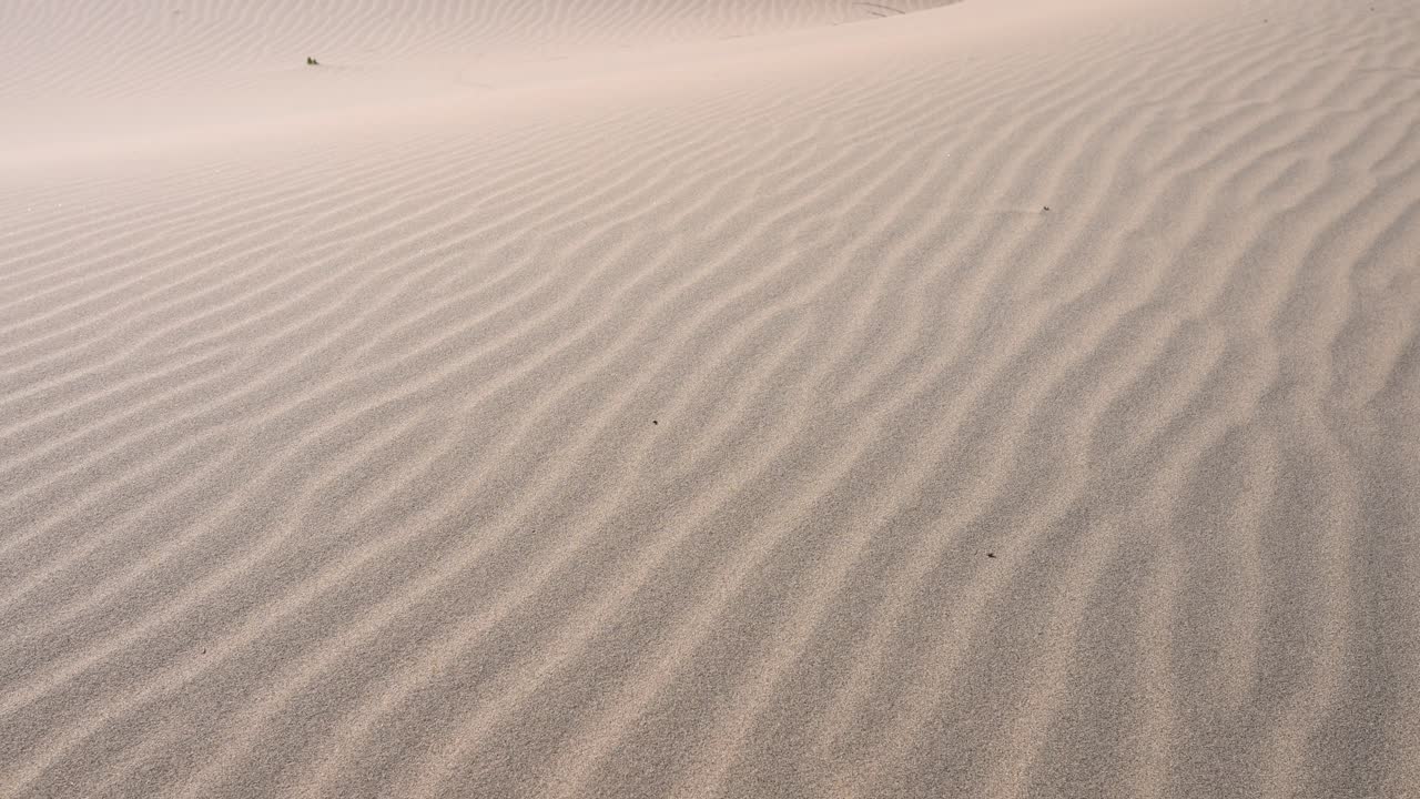 Wind-formed ripples create an abstract, textured pattern across the sand dunes of the Durgun Nuur desert landscape in remote Mongolia