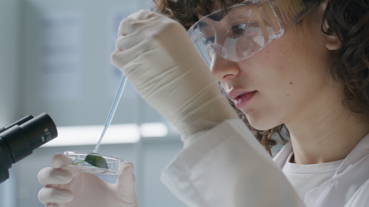 Female Biologist Adding Liquid Solution to Leaf in Petri Dish during Experiment