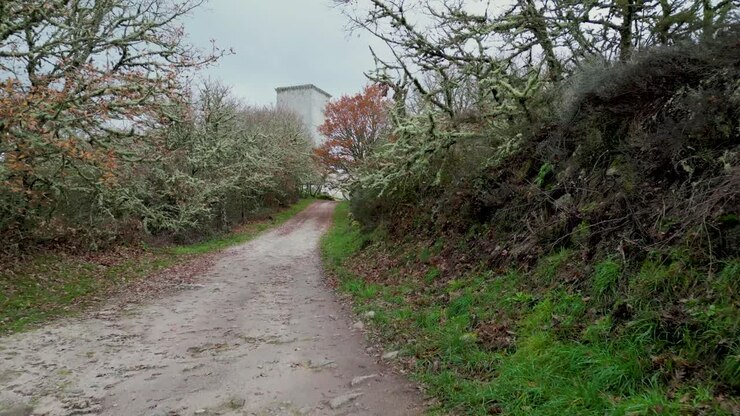 Sentiero per la torre del castello da Pena situata a Xinzo de Limia, Ourense, Spagna