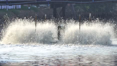 Paddle wheels.