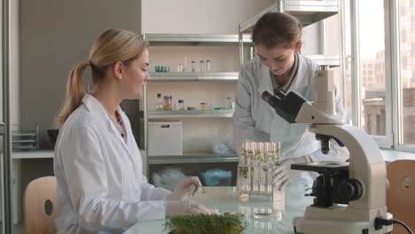 scientists conducting plant experiments in a laboratory