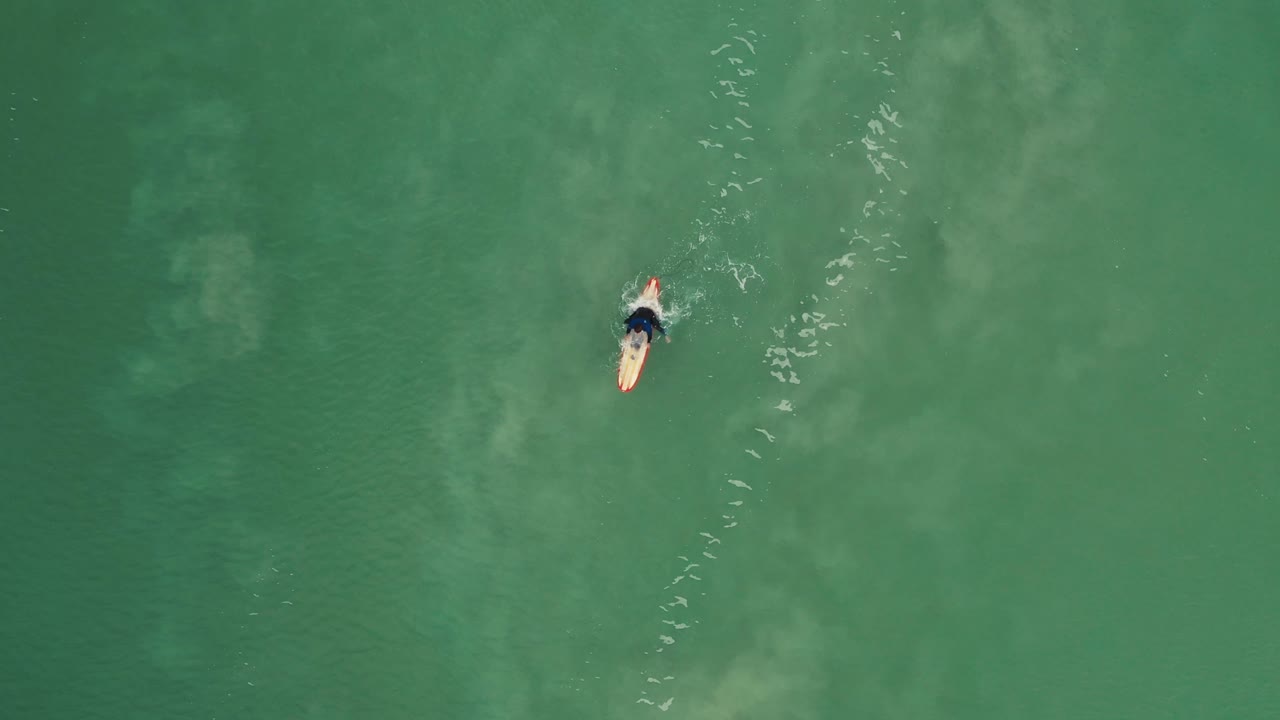 vista aérea de un surfista tratando de atrapar una ola