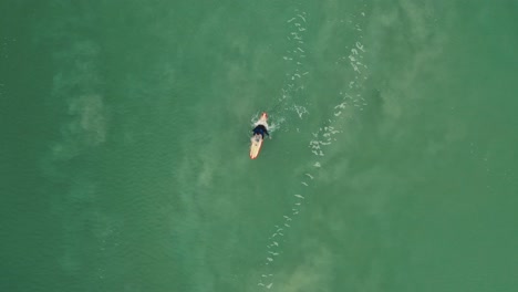 衝浪者試圖抓住波浪的空中景色