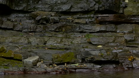 wet rocky waterfall