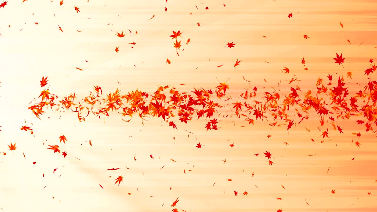 다채로운 메이플과 잎에서 나온 소용돌이, 가을 잎의 나선형 반이는 입자, 춤추는 잎, 다채로운 자연 터널 루프 애니메이션.