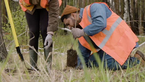 african american woman activist pushing the shovel in the ground while a arab coworker planting a tree in the forest