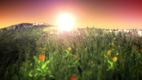 puesta de sol en el campo de hierba mágica bucle