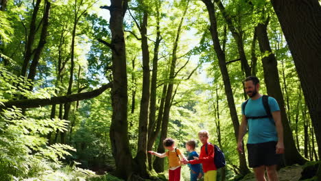 family hiking adventure in the forest