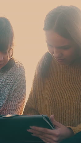 concentrated girl tourists work on tablet and laptop in camp in sunny early autumn morning closeup slow motion