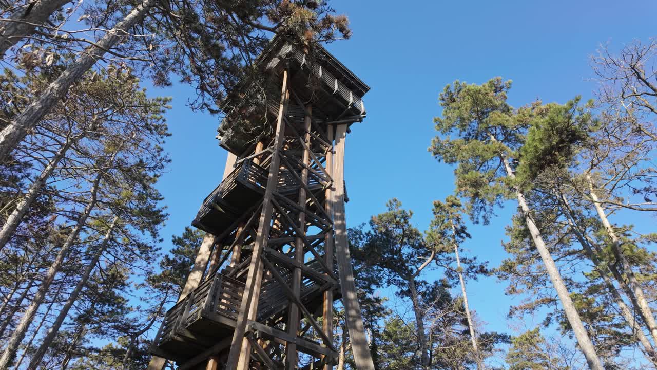 View of the wooden Sorhazdombi Lookout in Sopron, emerging above the trees towards the blue sky in Hungary.