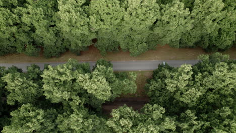 Toma-Aérea-De-Arriba-Hacia-Abajo-De-La-Carretera-En-El-Bosque