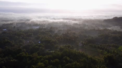 Magischer-Blick-Auf-Die-Indonesische-Landschaft,-Die-Morgens-In-Dünnen-Nebel-Gehüllt-Ist