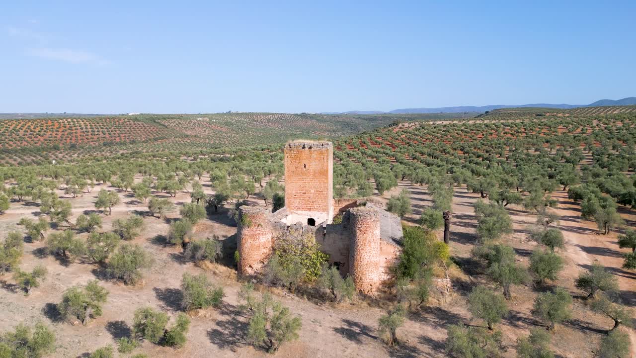 Drone view up above Aragonesa Castle in Andalusia, Spain. Medieval building in an olive grove in hot summer