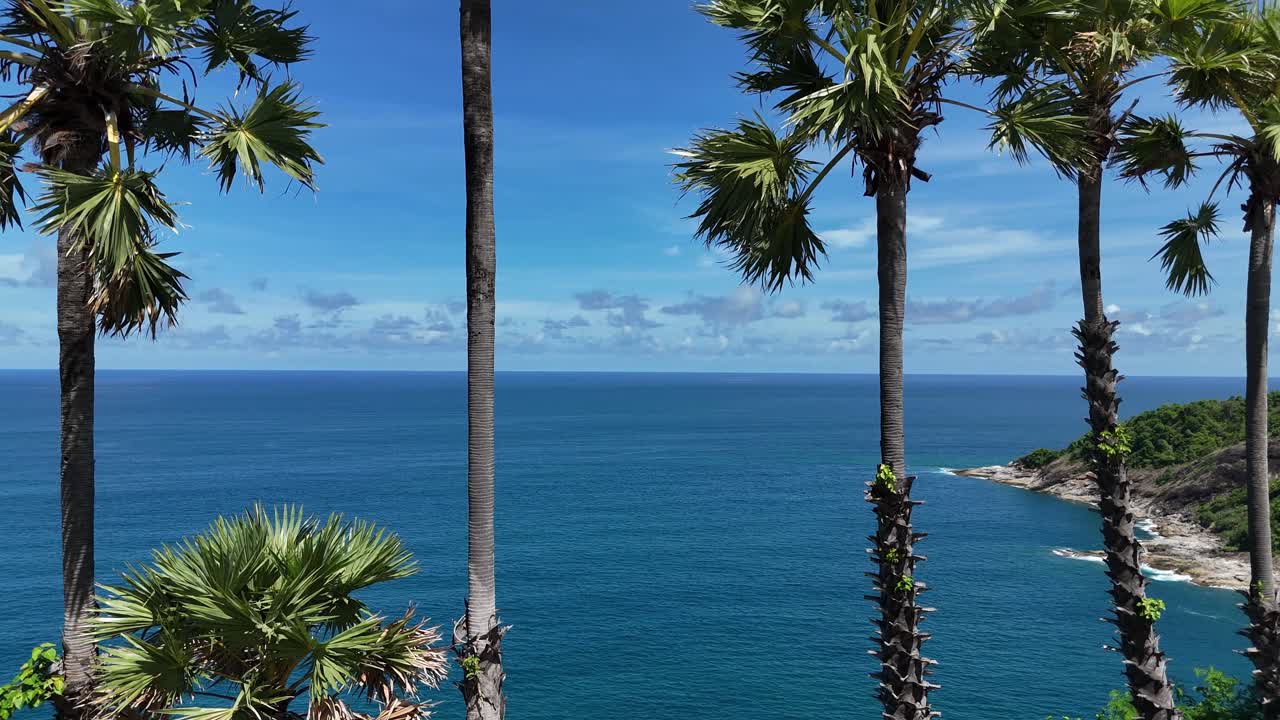 Tropical Ocean View with Palm Trees