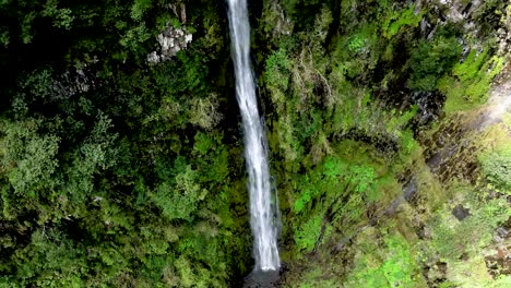 beautiful long waterfall amongst lush green forest, madiera, portugal, aerial