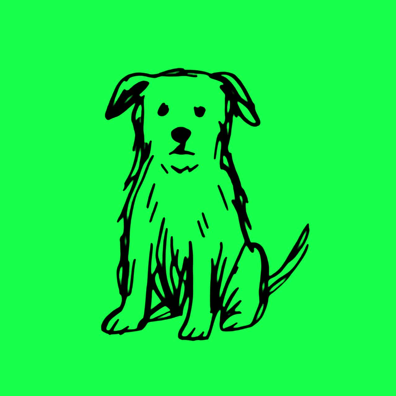 Hand-drawn dog illustration animation, transparent 4K video, green screen