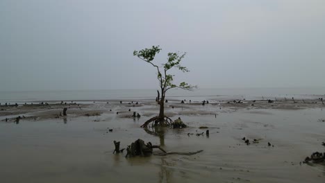 baron beachscape at kuakata sea beach, bangladesh