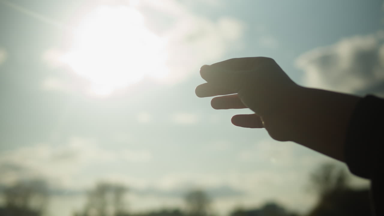 Hand Holding Leaf Against Sunlight