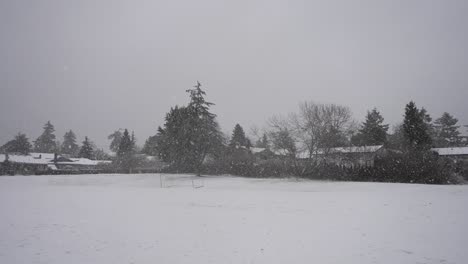 slow-motion footage of a light snowfall overlooking a snow-covered soccer field in a residential neighborhood