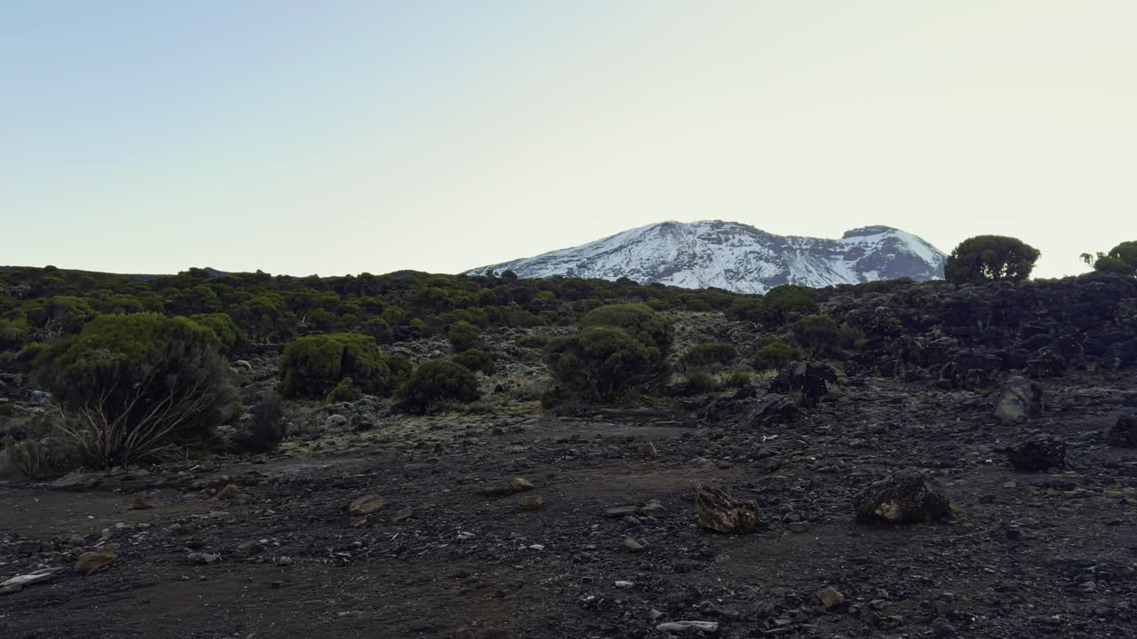 Vast highland landscape on Kilimanjaro with sparse plants and dramatic open sky, white speckled mountainside from snow
