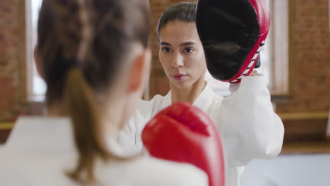 Mujer-Joven-Haciendo-Artes-Marciales