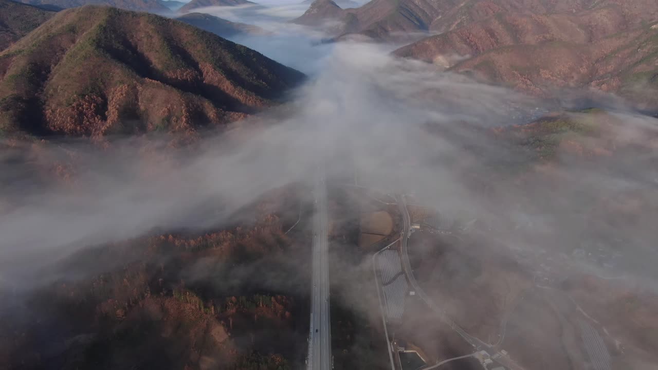 안개가 자욱한 가을 고속도로 장면