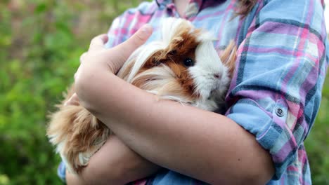 close up of girl holding pet guinea pig outdoors in garden