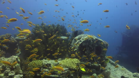 Ss-Thistlegorm-Es-Uno-De-Los-Naufragios-Más-Famosos-Del-Mundo-Que-Transportaba-Equipo-Militar-Durante-La-Segunda-Guerra-Mundial,-Atrae-A-Muchos-Buzos-Por-La-Cantidad-De-Carga-Que-Se-Puede-Ver-Y-Explorar