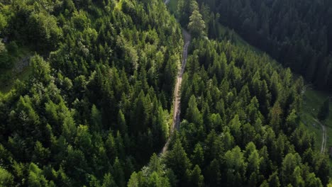 Narrow-road-leading-through-a-forest-in-the-Alps-in-Lofer,-Austria