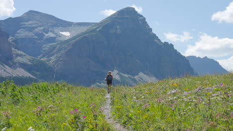 mujer rubia mochilera con bastones de caminar caminando en el prado con montañas en el parque nacional del glaciar